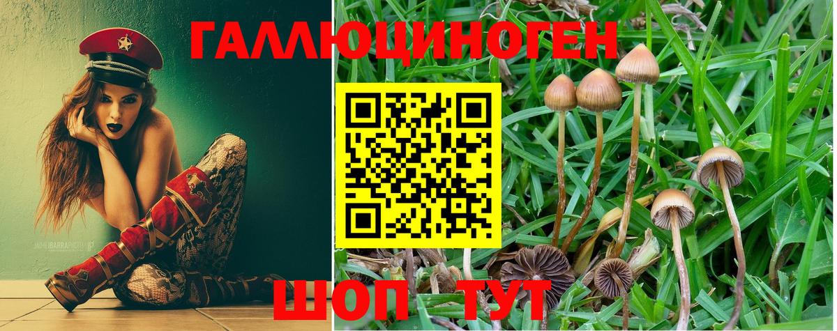 Галлюциногенные грибы мицелий  Галлюциногенные грибы Psilocybine cubensis  Гудермес  Вход с VPN 